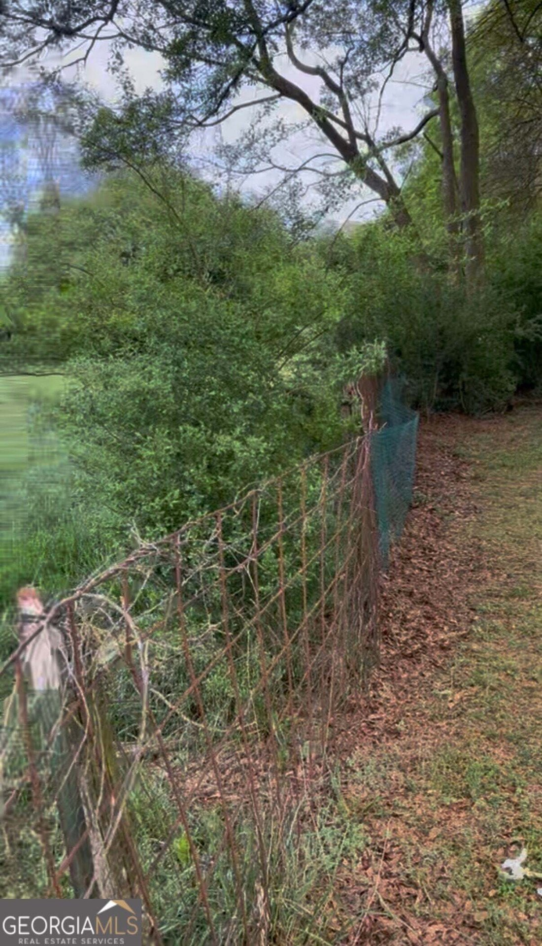 Farm Ranch in Canon, Georgia, United States 5 - 18925529