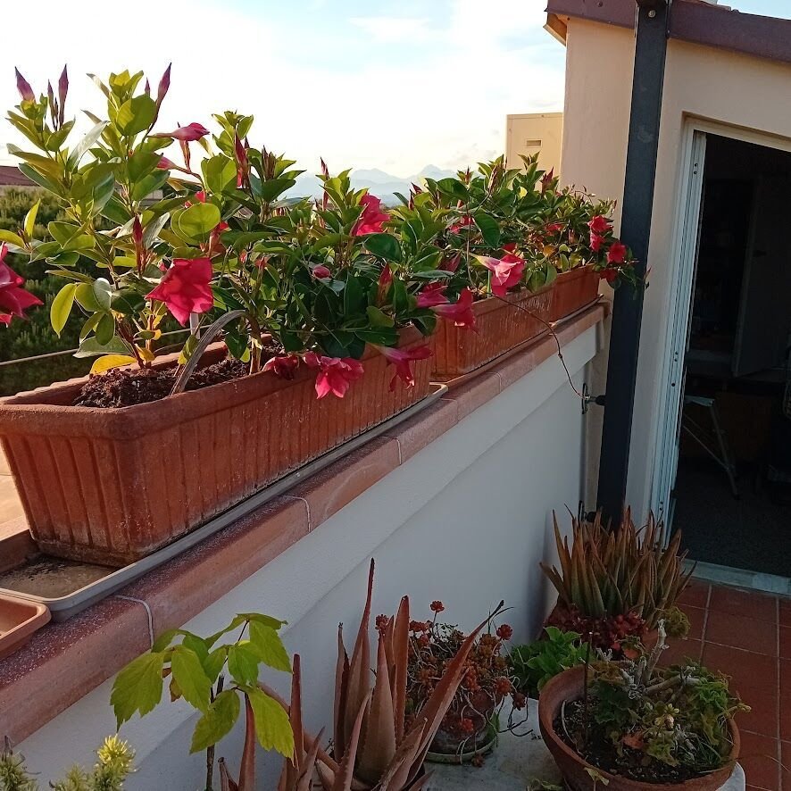 Penthouse in Santa Maria, Pisa, Italy 1 - 18927585