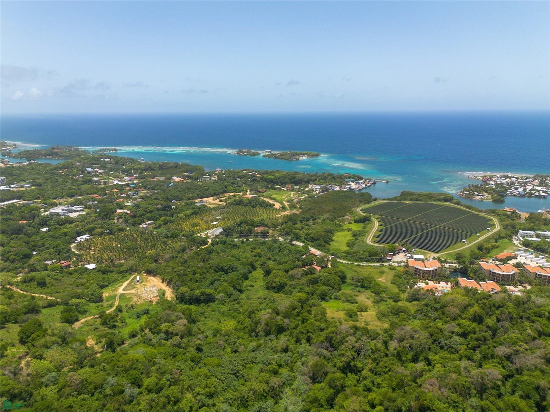 Land in Coxen Hole, Bay Islands Department, Honduras 2 - 18928400