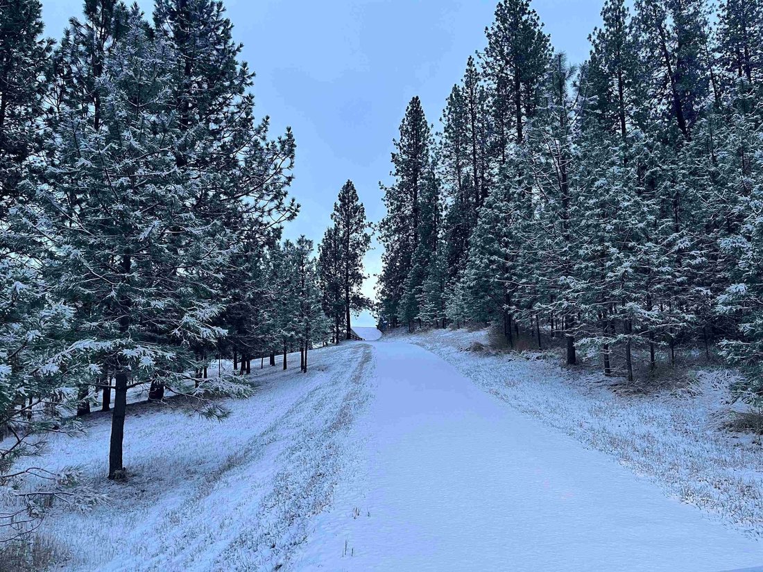 House in Mead, Washington, United States 4 - 18219067
