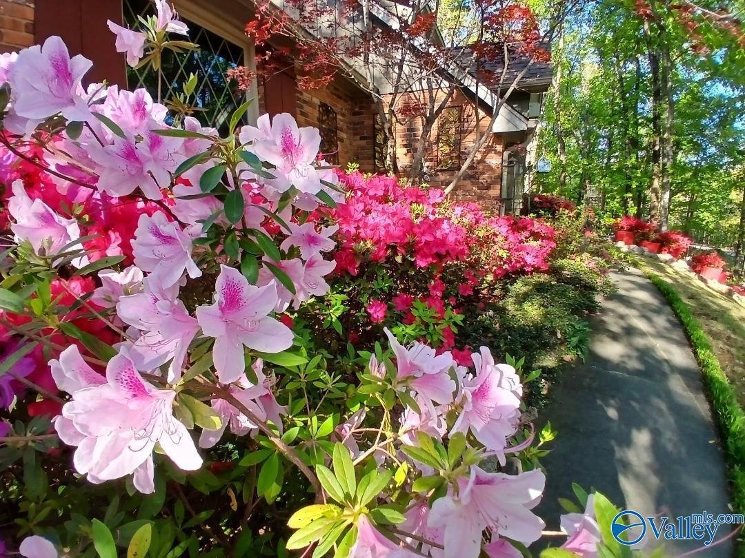 House in Decatur, Alabama, United States 3 - 18928475