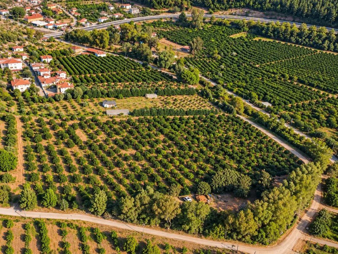 Land in Muğla, Ula, Turkey 4 - 18928307