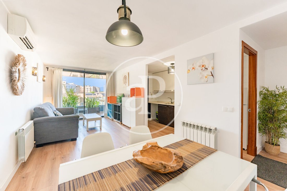 Apartment in Palma, Balearic Islands, Spain 4 - 18928727