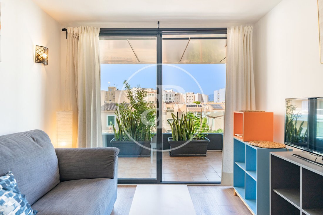 Apartment in Palma, Balearic Islands, Spain 5 - 18928727