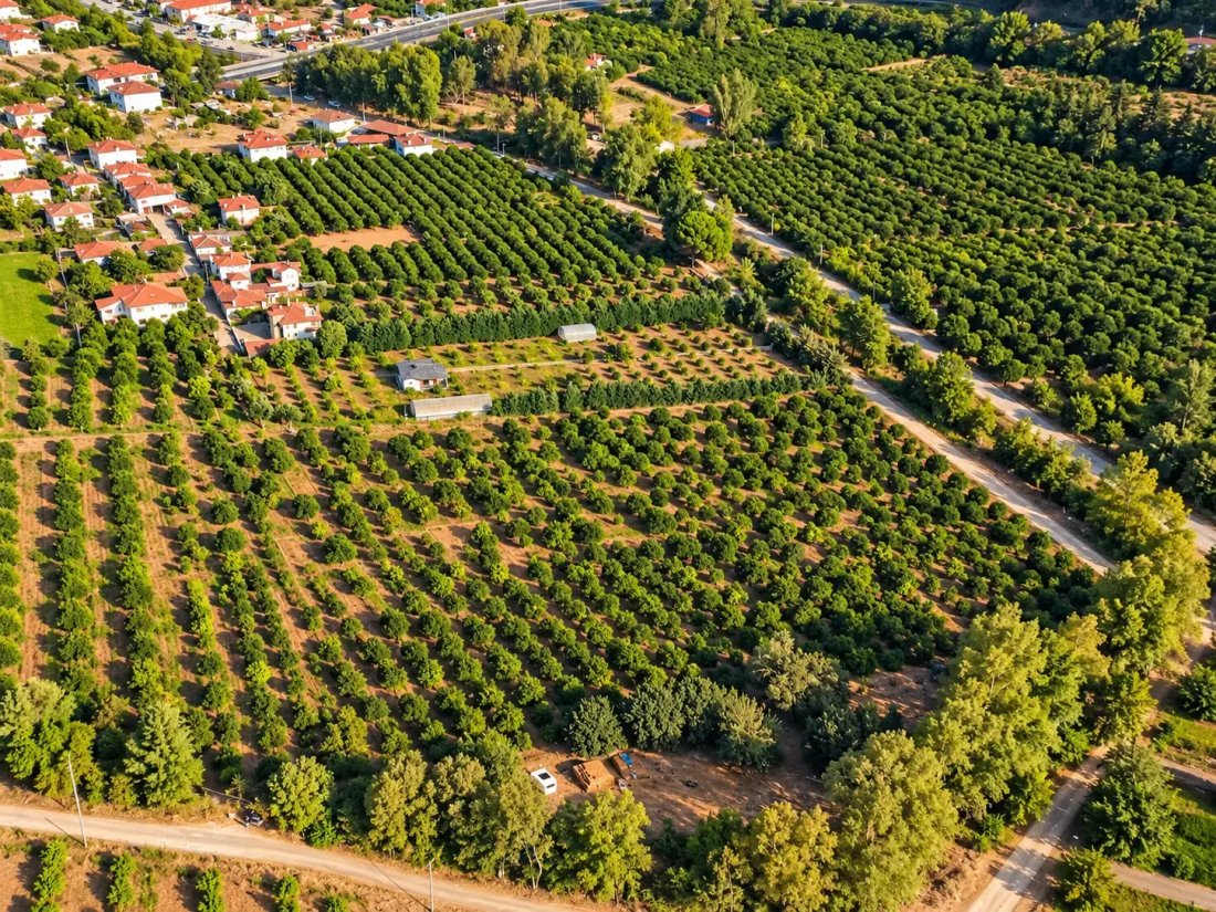 Land in Muğla, Ula, Turkey 2 - 18928307