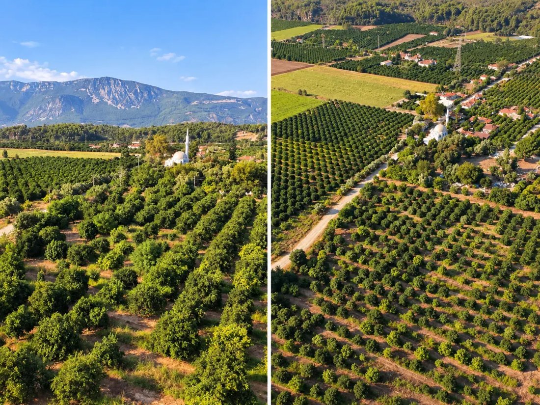 Land in Muğla, Ula, Turkey 5 - 18928307