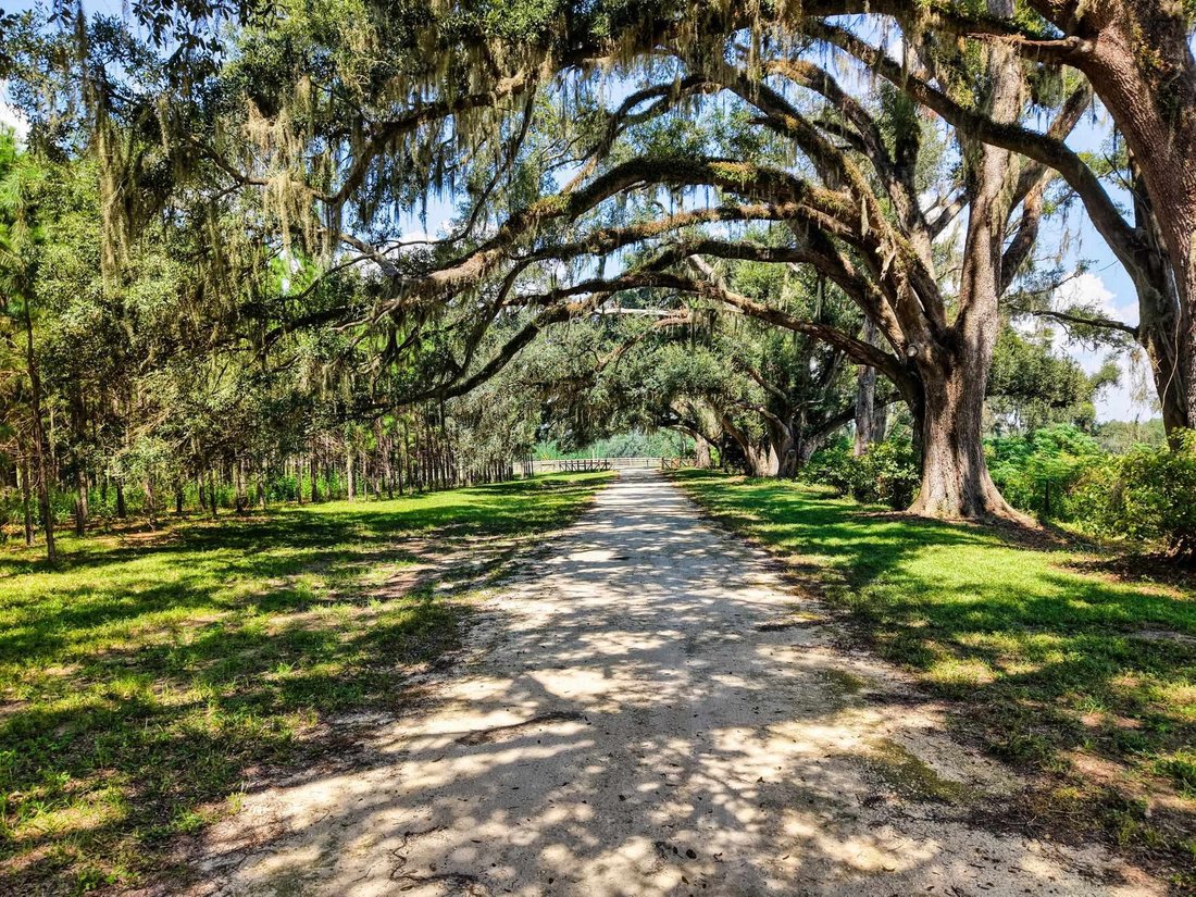 House in Madison, Florida, United States 2 - 18928213