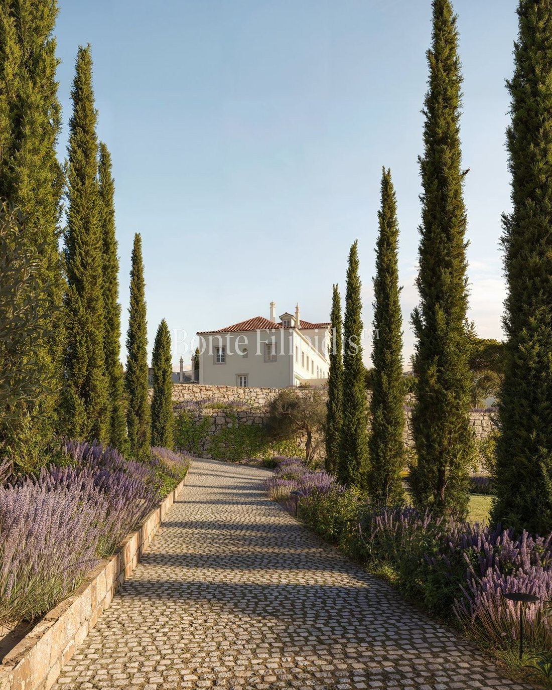 Farm Ranch in Colares, Lisbon, Portugal 1 - 18929890