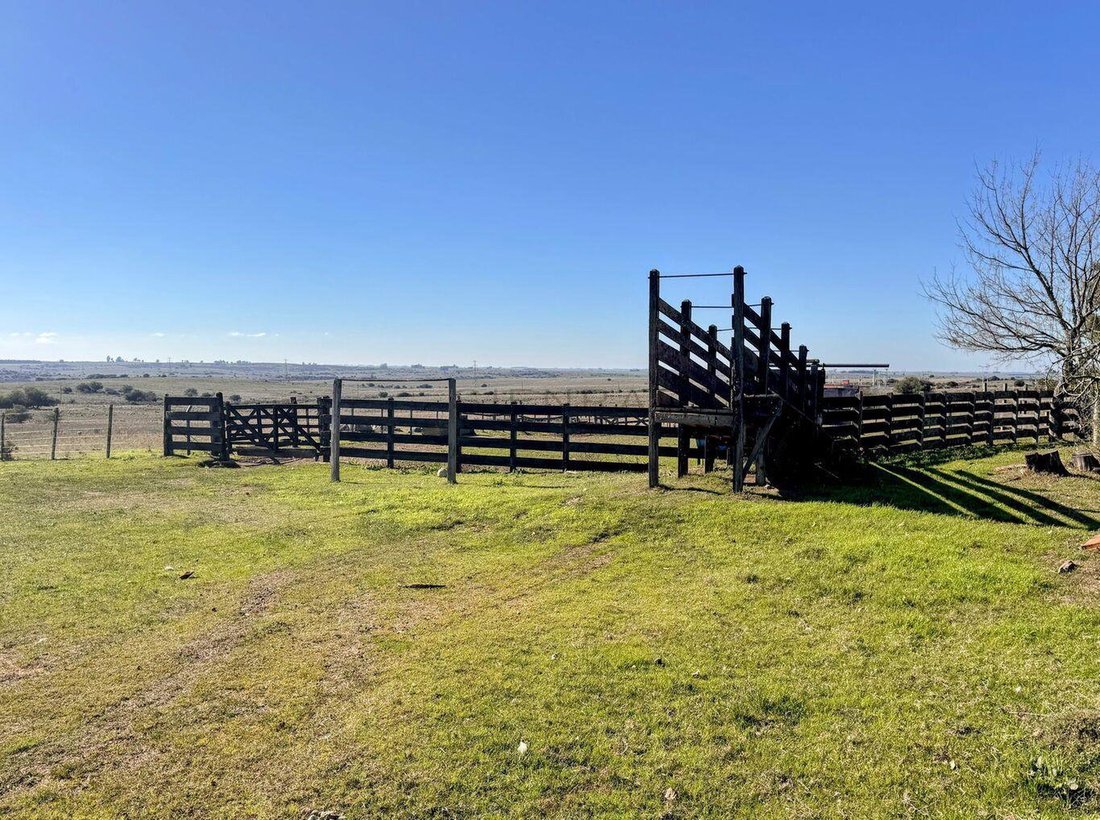 Farm Ranch in Trinidad, Flores Department, Uruguay 1 - 18929470
