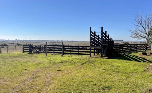 Farm Ranch in Trinidad, Flores Department, Uruguay 1