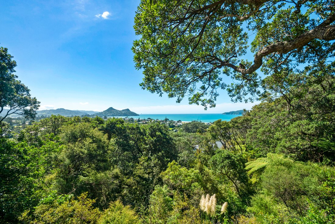Haus in Auckland, Auckland, Neuseeland 4 - 17468146