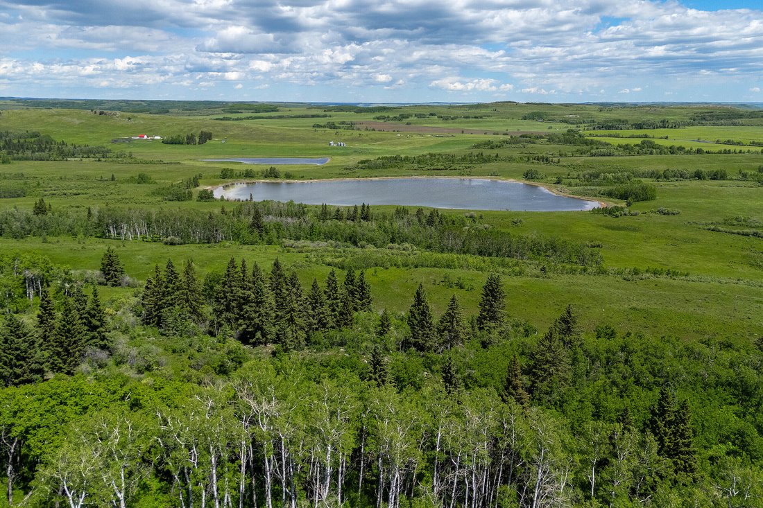 Farm Ranch in Cheneka, Alberta, Canada 5 - 18929486