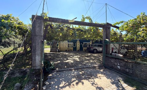 Farm Ranch in Rio Tinto, Porto District, Portugal 1