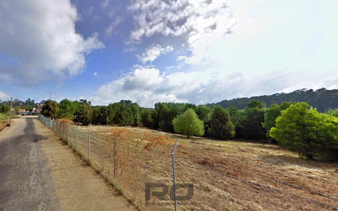 Land in Lobao, Giao, Louredo e Guisande, Aveiro District, Portugal 3 - 12920730