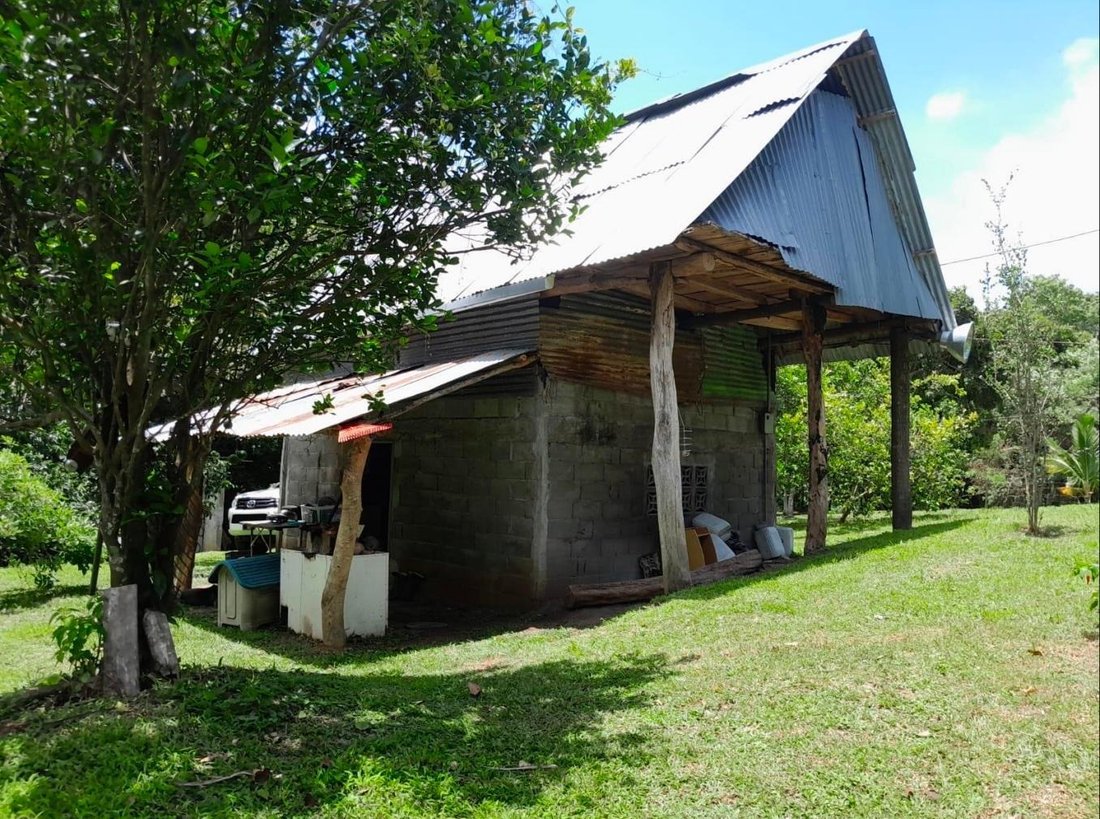 Finca in Lídice, Provincia de Panamá Oeste, Panama 1 - 18928580