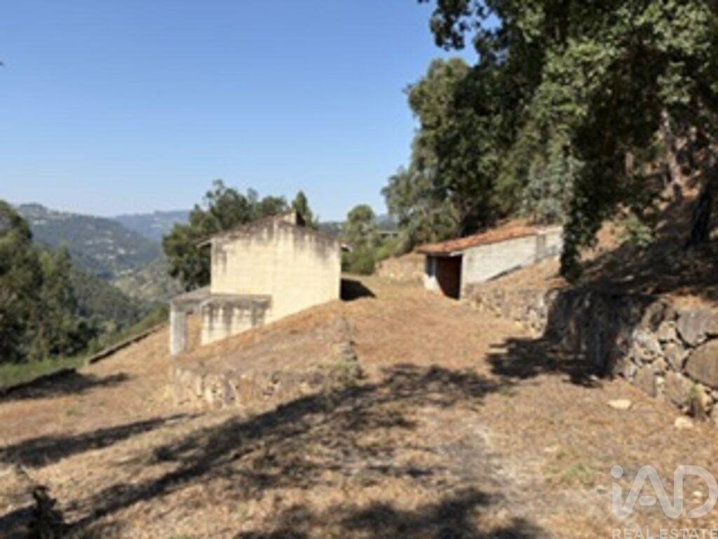 Farm Ranch in Marco, Porto District, Portugal 5 - 18929733