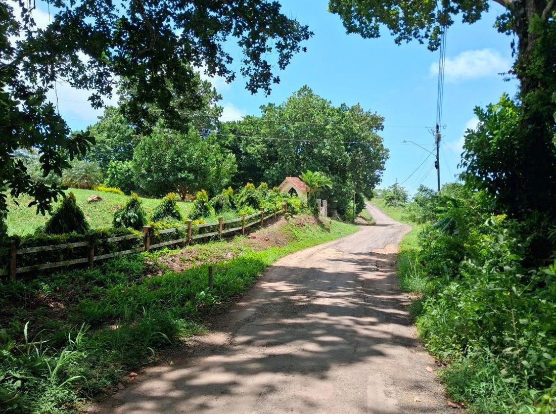 Finca in Lídice, Provincia de Panamá Oeste, Panama 2 - 18928580