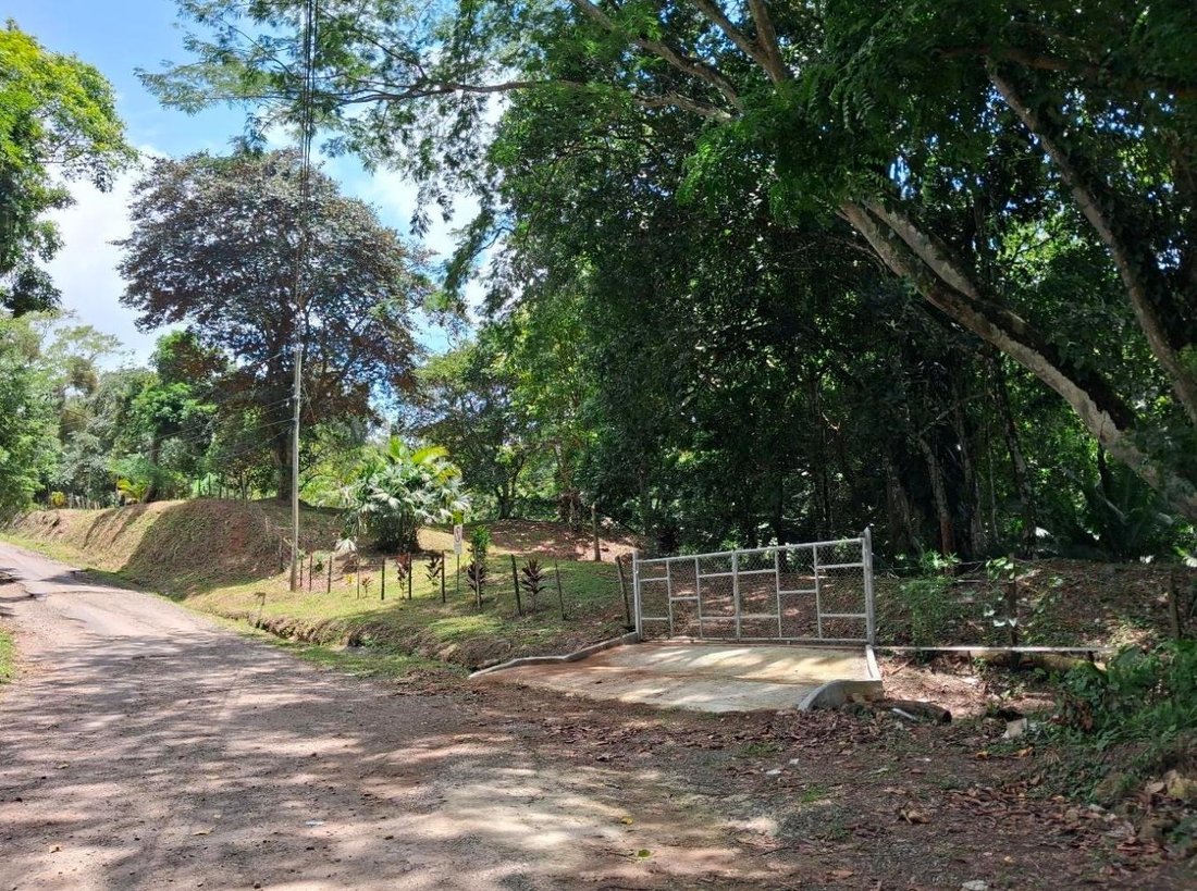 Finca in Lídice, Provincia de Panamá Oeste, Panama 3 - 18928580