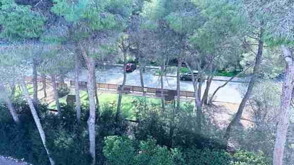 House in Sol de Mallorca, Calvia, Balearic Islands 4 - 18926548
