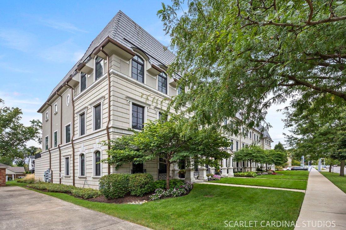 Villa in Naperville, Illinois, United States 3 - 18929808