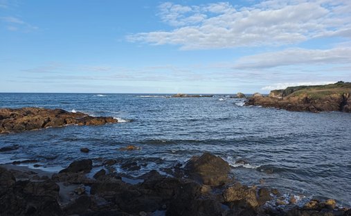Land in Gare-Saint Michel, Les Sables-d'Olonne, Frankreich 1