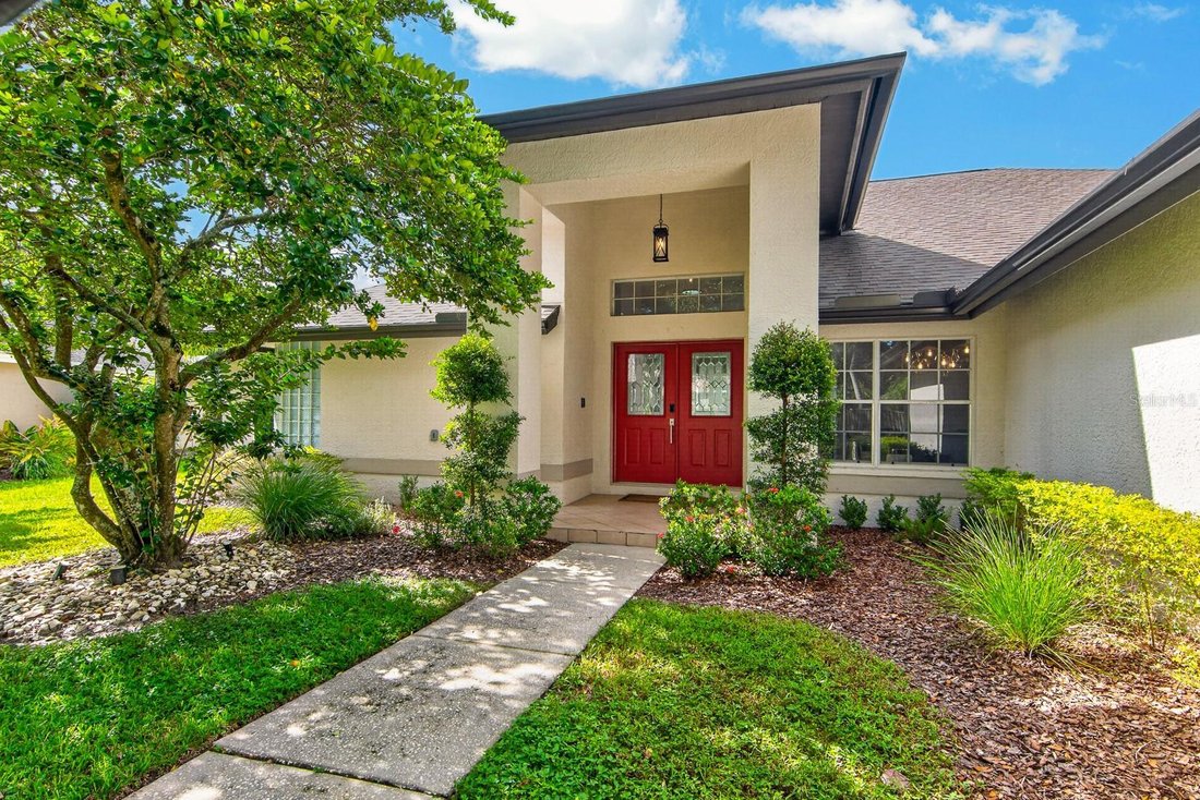 House in Lutz, Florida, United States 3 - 18930841
