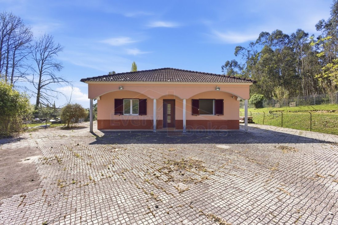 Farm Ranch in Olho Marinho, Leiria District, Portugal 2 - 18930617