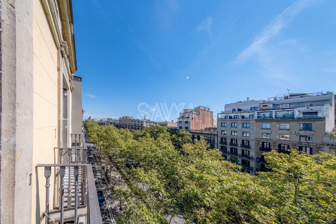 Apartment in Ciutat Vella, Barcelona, Spain 4 - 18930333