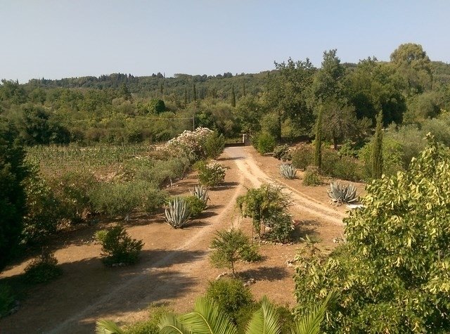 Estate in Corfu, Peloponnese, Western Greece and the Ionian, Greece 3 - 18930596