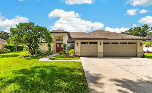 House in Lutz, Florida, United States 1