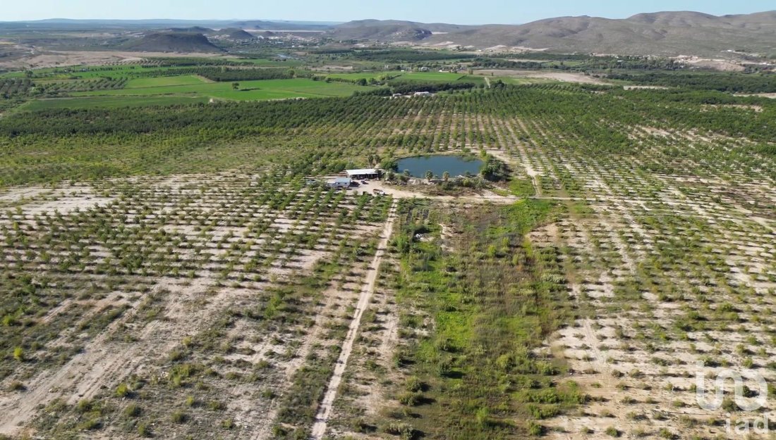 Terreno in Rancho Buena Vista, Chihuahua, Messico 5 - 18223834