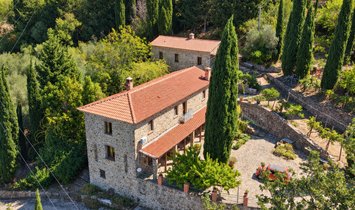 Villa in Ogliastro Cilento, Campania, Italy 2