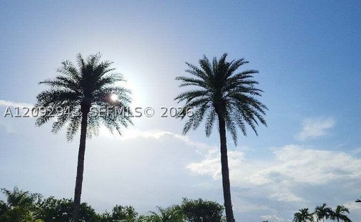 House in Miami, Florida, United States 1