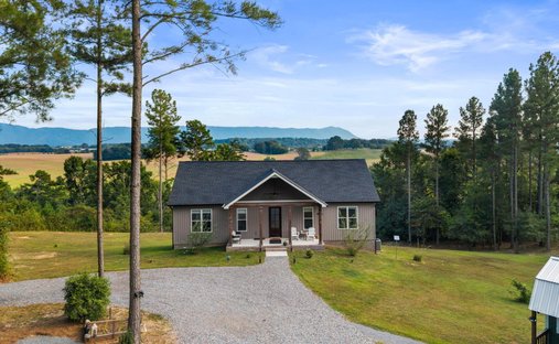Haus in Delano, Tennessee, Vereinigte Staaten 1