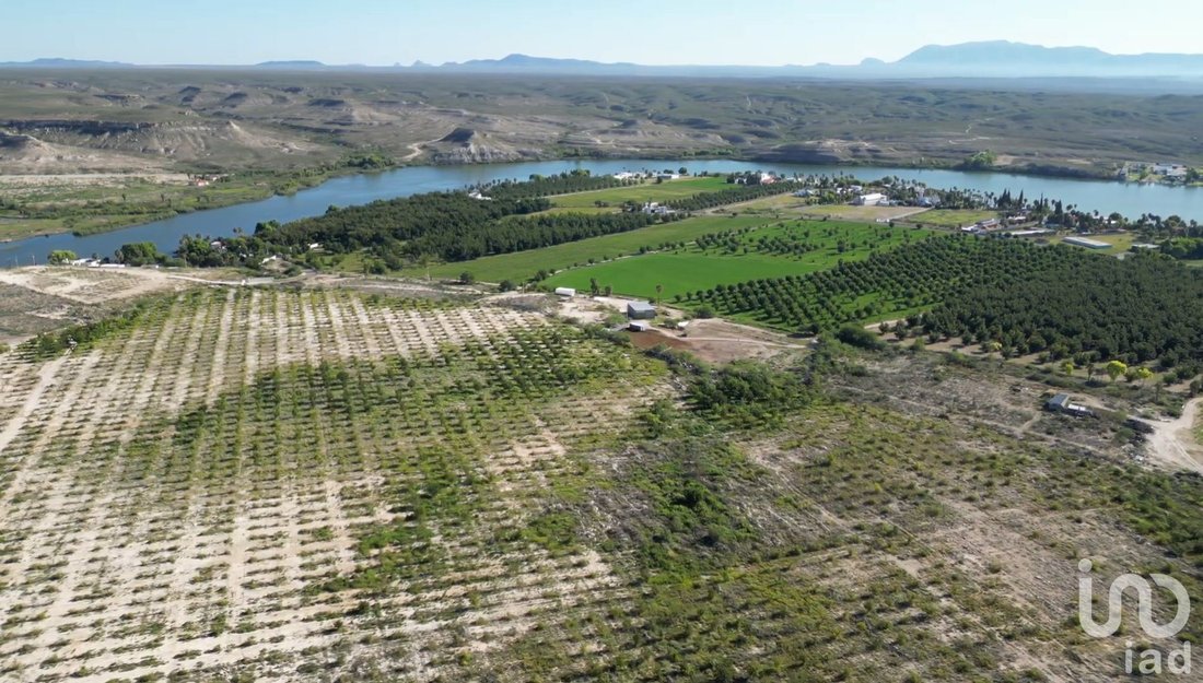 Terreno in Rancho Buena Vista, Chihuahua, Messico 4 - 18223834
