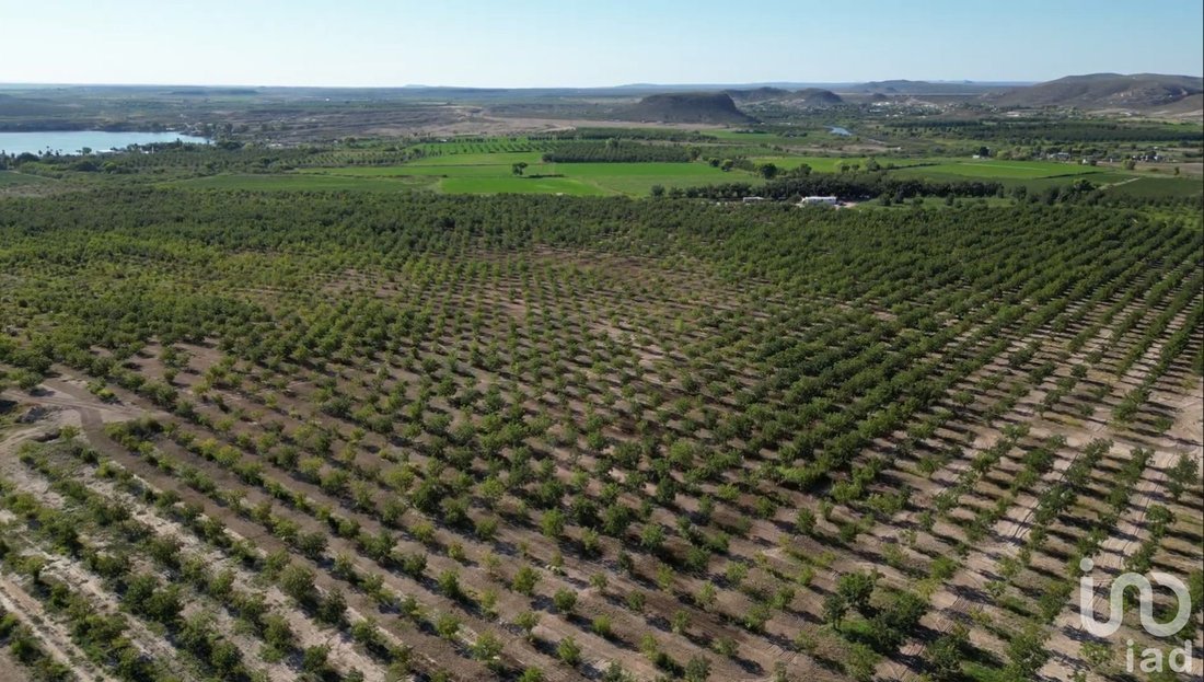Terreno in Rancho Buena Vista, Chihuahua, Messico 3 - 18223834