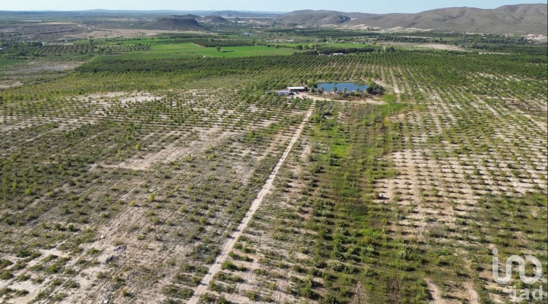Terreno in Rancho Buena Vista, Chihuahua, Messico 2 - 18223834