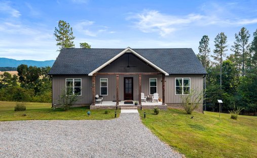 House in Delano, Tennessee, United States 1