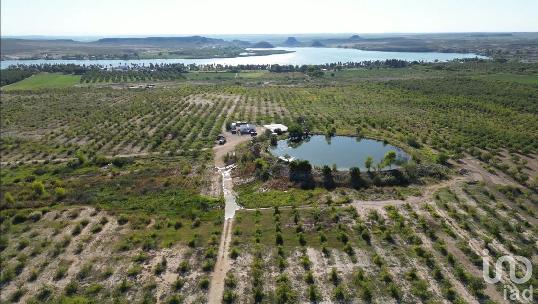 Terreno in Rancho Buena Vista, Chihuahua, Messico 1 - 18223834