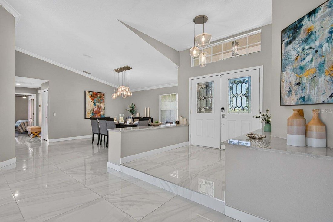 House in Lutz, Florida, United States 4 - 18930841