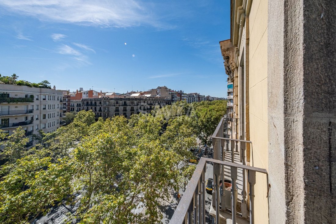 Apartment in Ciutat Vella, Barcelona, Spain 5 - 18930333