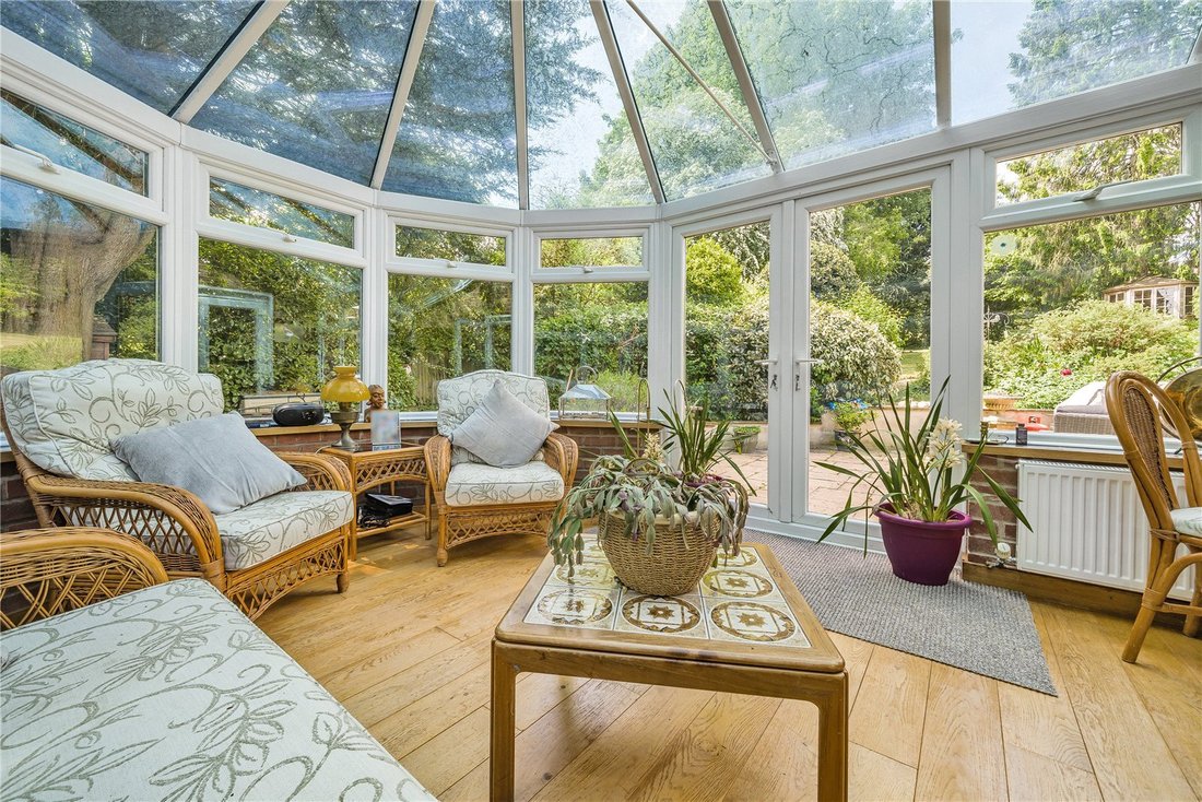 Bungalow in Medstead, England 4 - 18930816