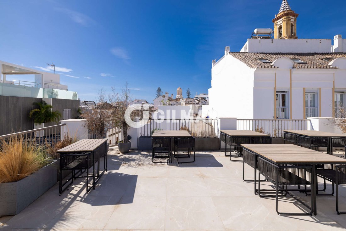 Estepona, Andalusia, Spain 1 - 18931121