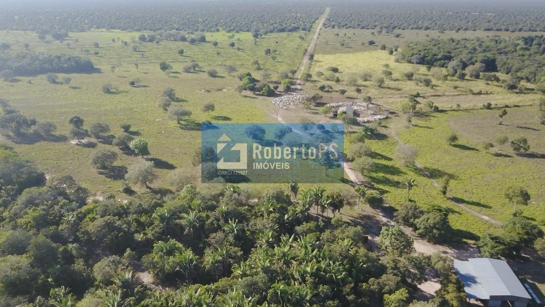 Farm Ranch in Cocalinho, State of Mato Grosso, Brazil 1 - 18933355