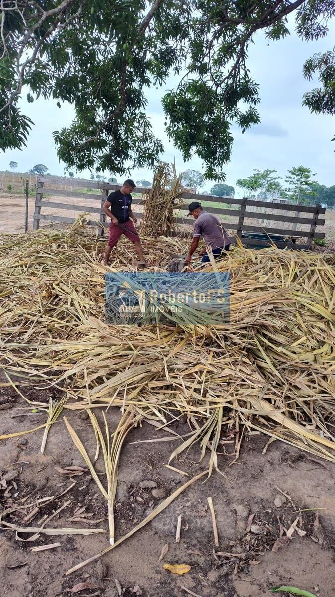 Farm Ranch in Cristalina, State of Goiás, Brazil 3 - 18933318