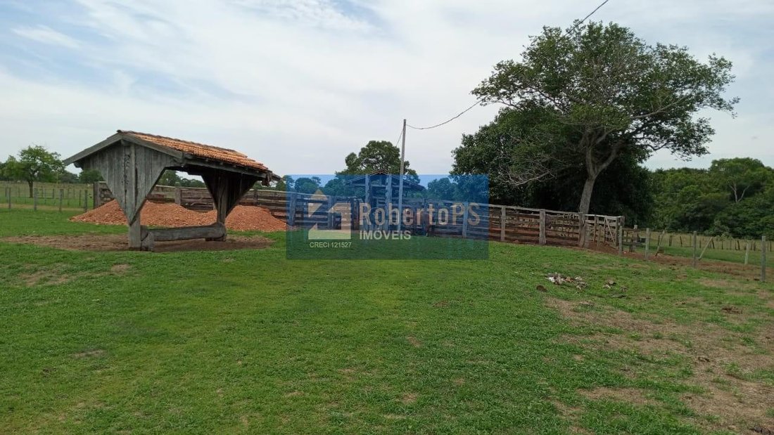 Farm Ranch in Cocalinho, State of Mato Grosso, Brazil 5 - 18933325
