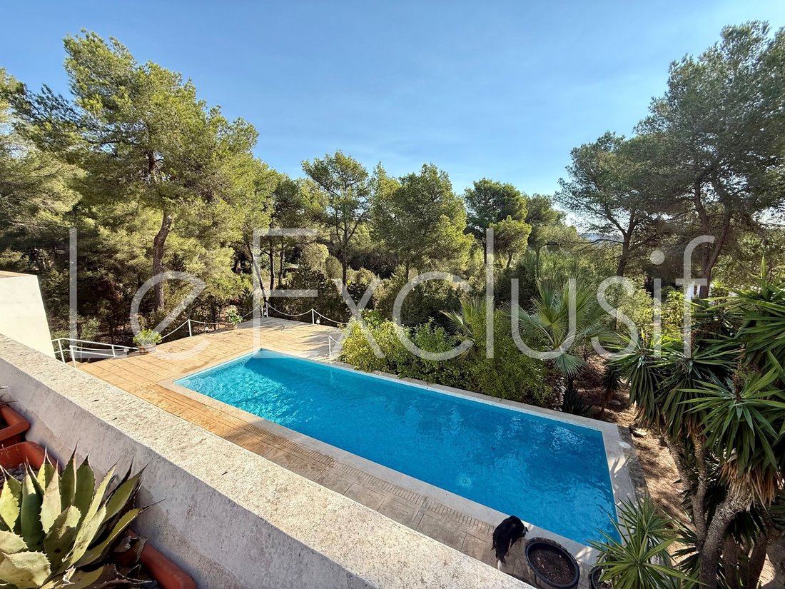 Villa in Santa Gertrudis de Fruitera, Santa Eularia des Riu, Balearic Islands 2 - 18935755