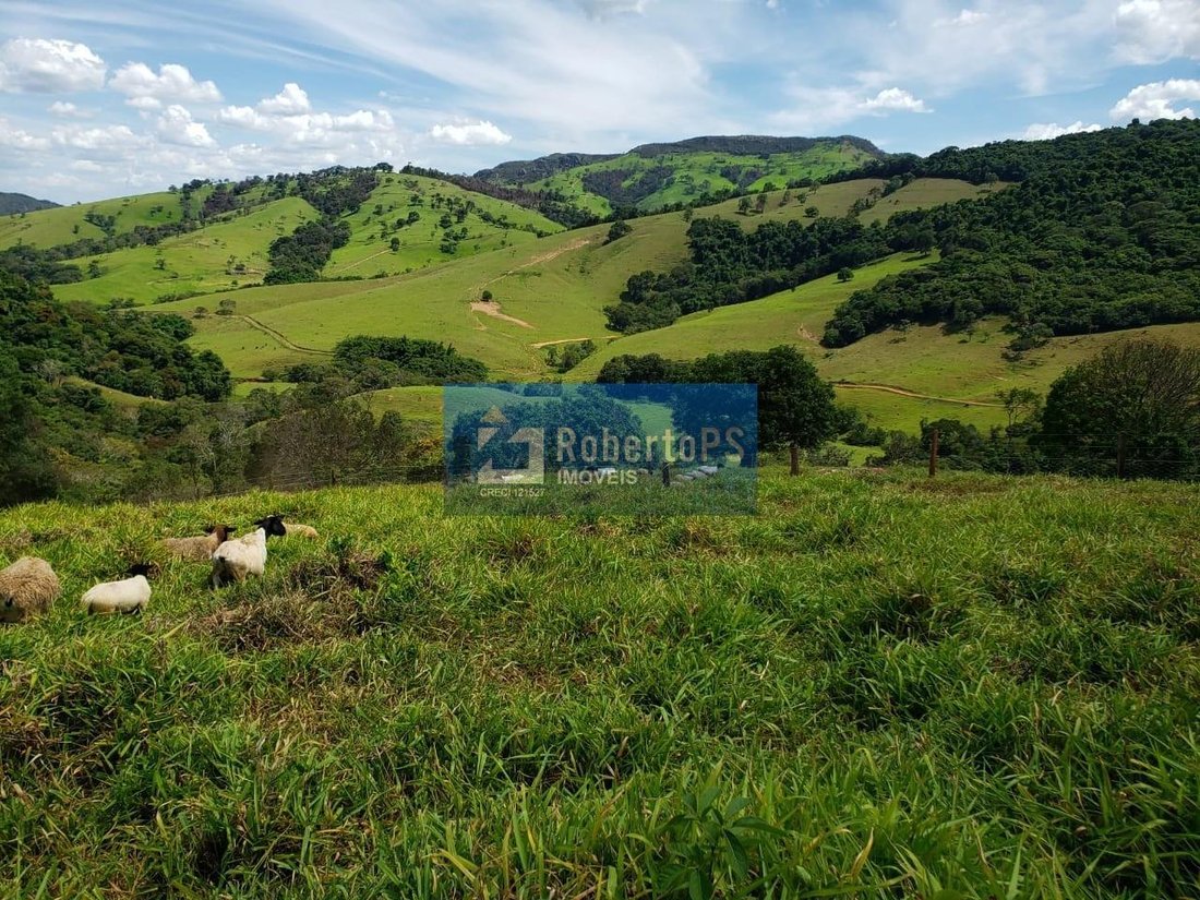 Farm Ranch in Capitólio, State of Minas Gerais, Brazil 1 - 18933324