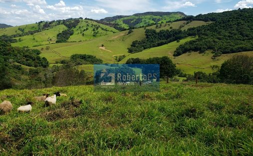 Farm Ranch in Capitólio, State of Minas Gerais, Brazil 1