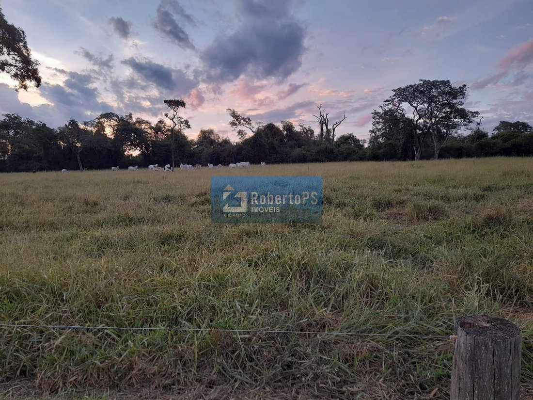 Farm Ranch in Ribeirão Bonito, State of São Paulo, Brazil 2 - 18933336
